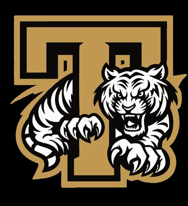 Hamburg Junior Tigers Logo